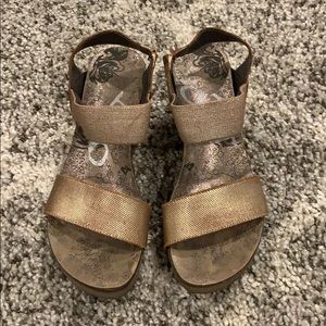 Bronze otbt wedges